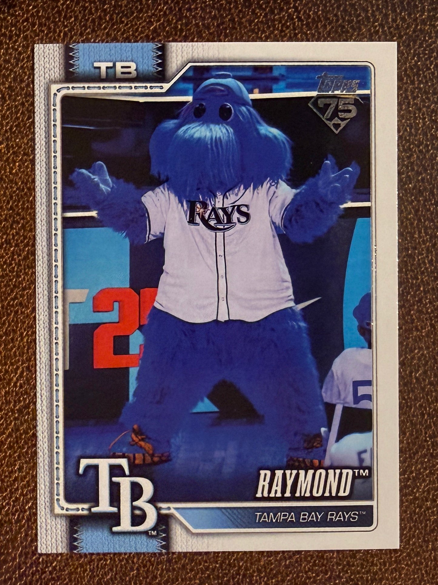 Raymond - 2026 Topps Series 1 - Mascots Insert - Rays